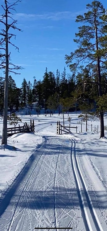 Høgseterrennet 2021